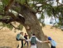 NATURETRACK’s Family Day at Lake Los Carneros