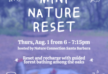 Mini Nature Reset: Evening Forest Bathing