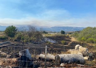 Arson Fire Reported at UCSB’s North Campus Open Space on Wednesday Afternoon