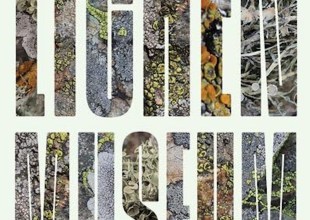 Book Review | ‘The Lichen Museum’ by A. Laurie Palmer