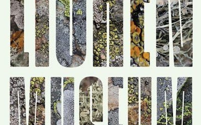 Book Review | ‘The Lichen Museum’ by A. Laurie Palmer