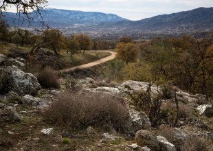 A Soil Fungus That Can Kill Is on the Rise in California: What to Know About Valley Fever