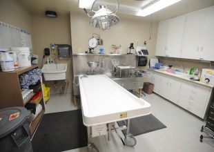 Is Santa Barbara’s Coroner’s Office Unsafe for the Living?