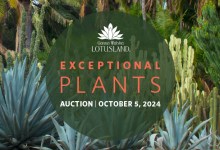 Lotusland’s Exceptional Plants Auction