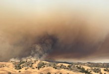 Study Reveals Link Between Wildfire Smoke and Dementia