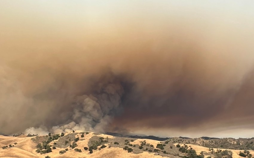 Study reveals link between forest fire smoke and dementia