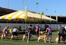 A Pooch-tacular Weekend at the Santa Barbara Kennel Club Dog Show