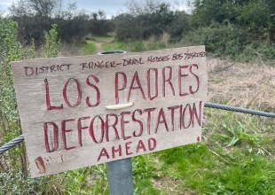 Los Padres National Forest Service Continues Fuel-Reduction Work Along West Camino Cielo