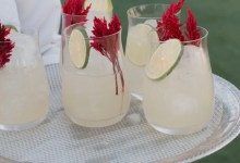 Lavish Santa Barbara Soirée Toasts Ty Warner’s New Reserve Tequila