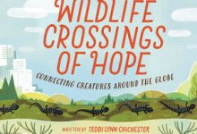 Chaucer’s Children’s Book Reading – “Wildlife Crossings of Hope”