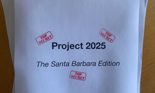 Project 2025