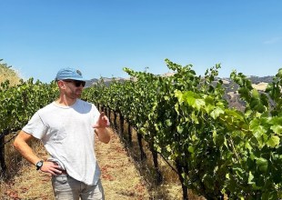 Full Belly Files | Climbing Up to Coastview Vineyard