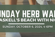 Sunday Herb Walk at Haskell’s Beach