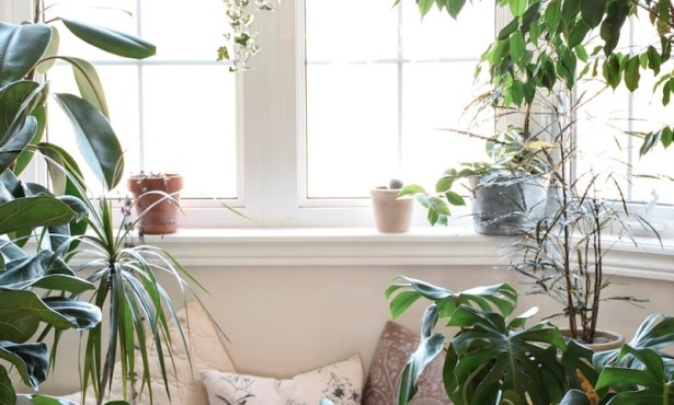 The Perfect Book Nook