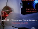 AWARE: Glimpses of Consciousness