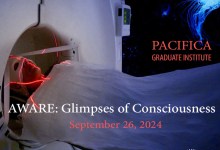 AWARE: Glimpses of Consciousness