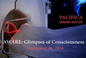 AWARE: Glimpses of Consciousness