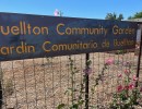 Buellton Community Garden to Have Official Opening on September 7