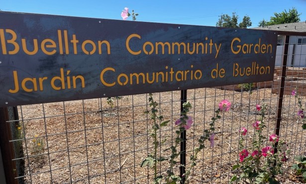 Buellton Community Garden to Have Official Opening on September 7