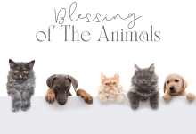 Blessing of the Animals