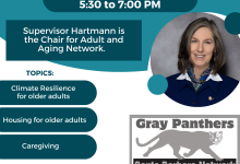 Gray Panthers S.B. Network: A Virtual Conversation with Supervisor Joan Hartmann