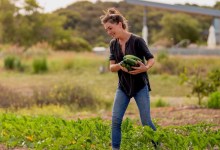 Julie Simon’s Mezze Mastery at Presqu’ile Winery