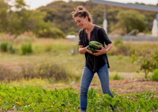 Julie Simon’s Mezze Mastery at Presqu’ile Winery