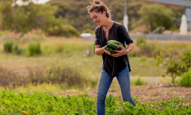 Julie Simon’s Mezze Mastery at Presqu’ile Winery