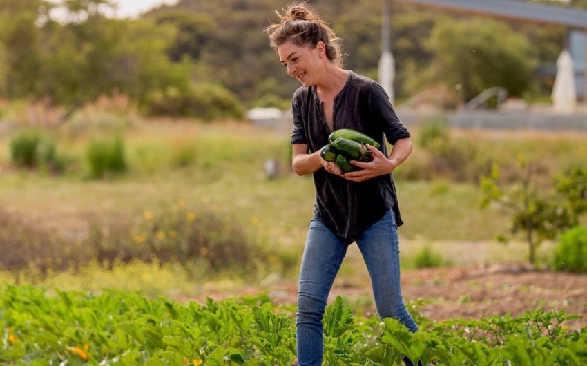 Julie Simon’s Mezze Mastery at Presqu’ile Winery