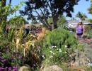 Celebrating ‘Water-Wise’ Gardens in Santa Barbara County