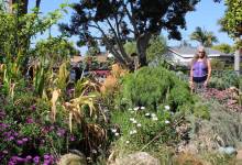 Celebrating ‘Water-Wise’ Gardens in Santa Barbara County