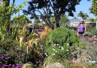 Celebrating ‘Water-Wise’ Gardens in Santa Barbara County