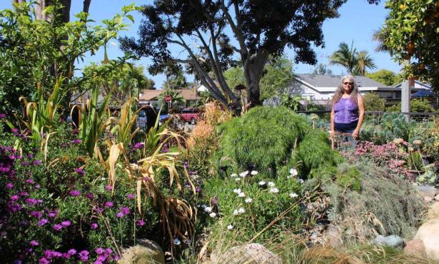 Celebrating ‘Water-Wise’ Gardens in Santa Barbara County