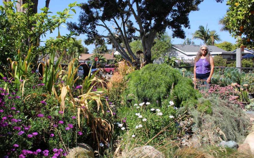 Celebrating ‘Water-Wise’ Gardens in Santa Barbara County