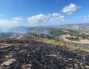 Update: Firefighters Stop Forward Progress of Vegetation Fire on Santa Rosa Road Outside Lompoc