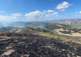 Update: Firefighters Stop Forward Progress of Vegetation Fire on Santa Rosa Road Outside Lompoc