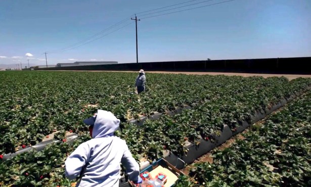 Santa Barbara County Takes Step Toward Addressing Farmworker Conditions