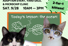 FREE Microchipping Clinic & ASAP Adoption Event!