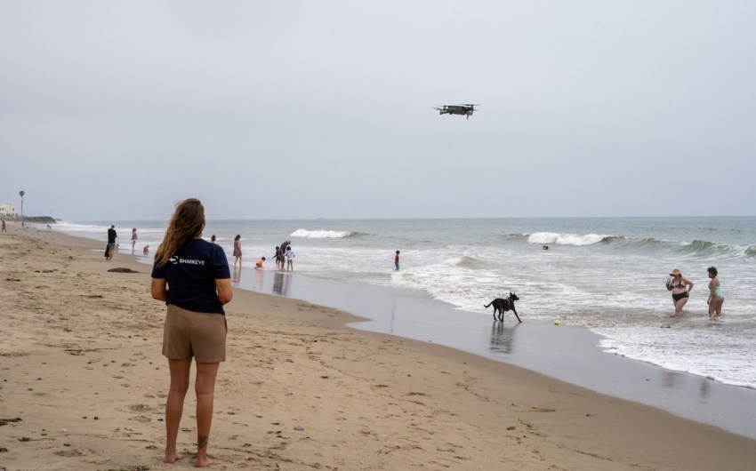 Scientists Use Drones to Track White Sharks Along California Beaches