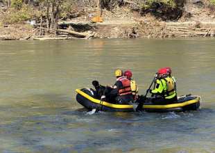 Search Dog Foundation Deploys 26 Locally Trained Teams in Wake of Hurricanes