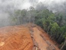 Brazil’s Environmental Leadership