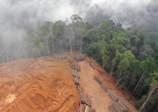 Brazil’s Environmental Leadership