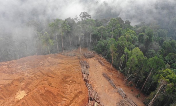 Brazil’s Environmental Leadership