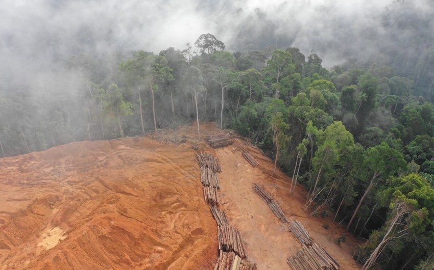 Brazil’s Environmental Leadership