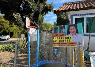 Campaign Sign Thefts on the Eastside