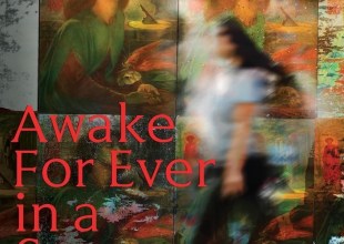 Book Review | ‘Awake For Ever in a Sweet Unrest: a novel’ by Chuck Rosenthal