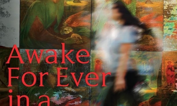 Book Review | ‘Awake For Ever in a Sweet Unrest: a novel’ by Chuck Rosenthal