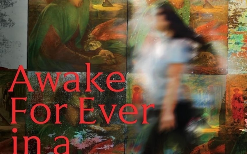 Book Review | ‘Awake For Ever in a Sweet Unrest: a novel’ by Chuck Rosenthal