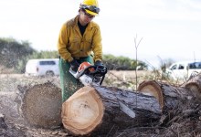 Work at Santa Barbara Douglas Family Preserve Begins