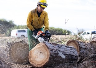 Work at Santa Barbara Douglas Family Preserve Begins